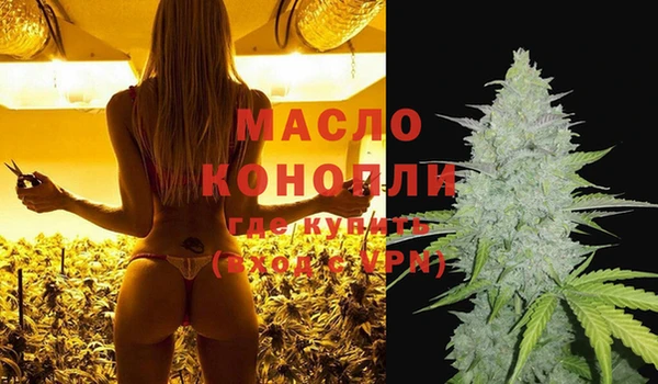крисы Каменногорск