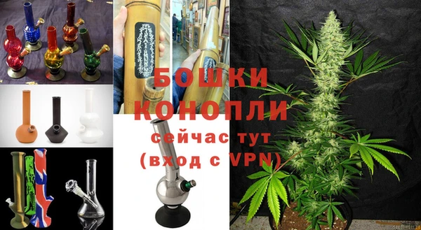 СК Каменка