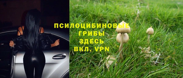 крисы Каменногорск