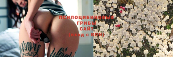 a pvp Касимов