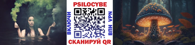 Галлюциногенные грибы Psilocybe Нижний Ломов